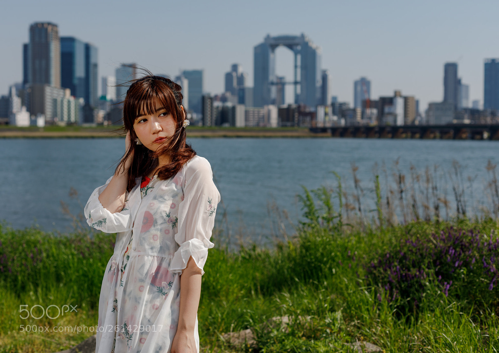 Canon EOS 5D Mark IV sample photo. Osaka river side photography