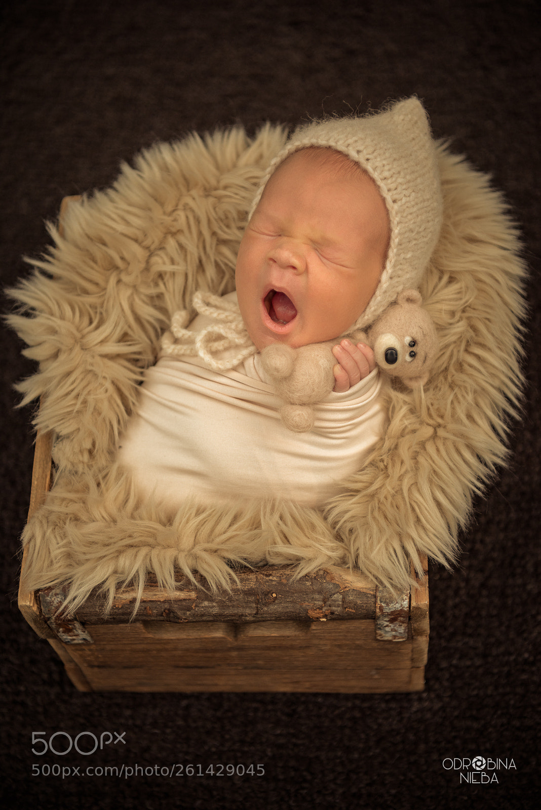 Nikon D810 sample photo. Marcel photography