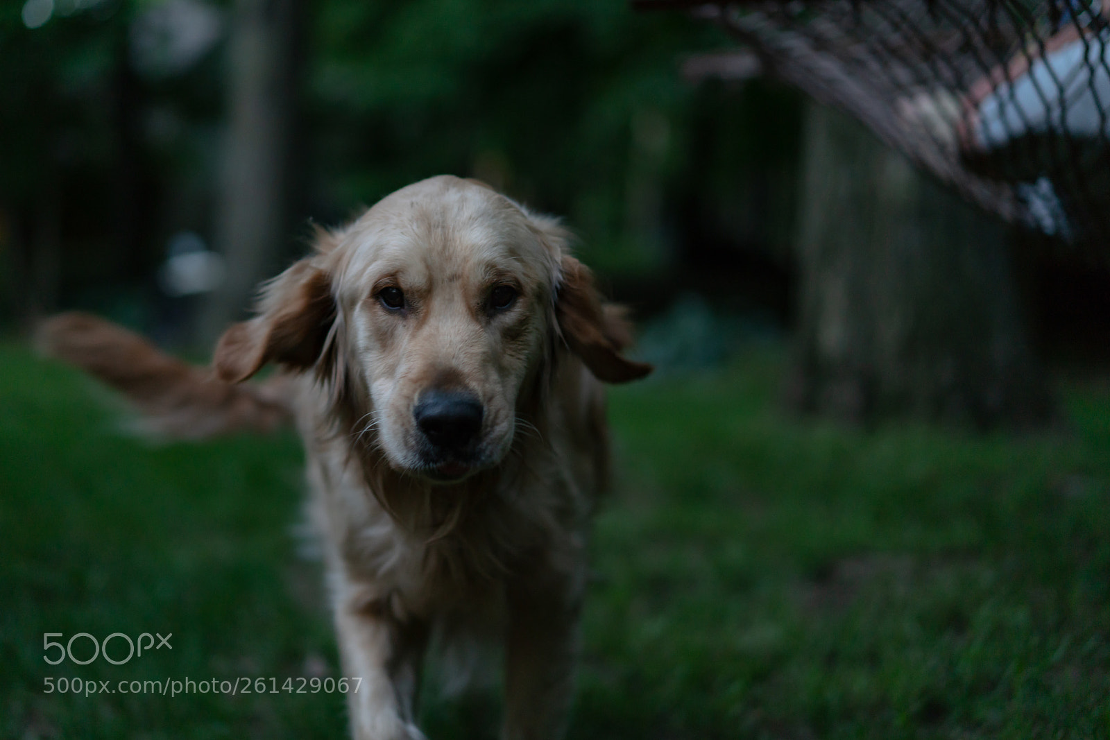 Sony a7R II sample photo. Wrigley is coming photography