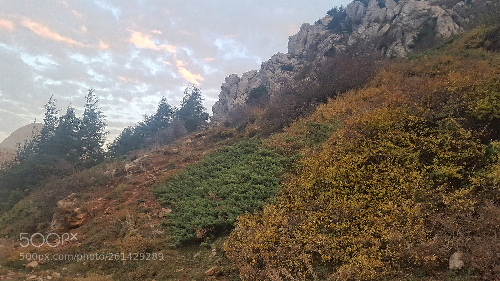 Samsung Galaxy S6 sample photo. 20171104_174255.jpg photography