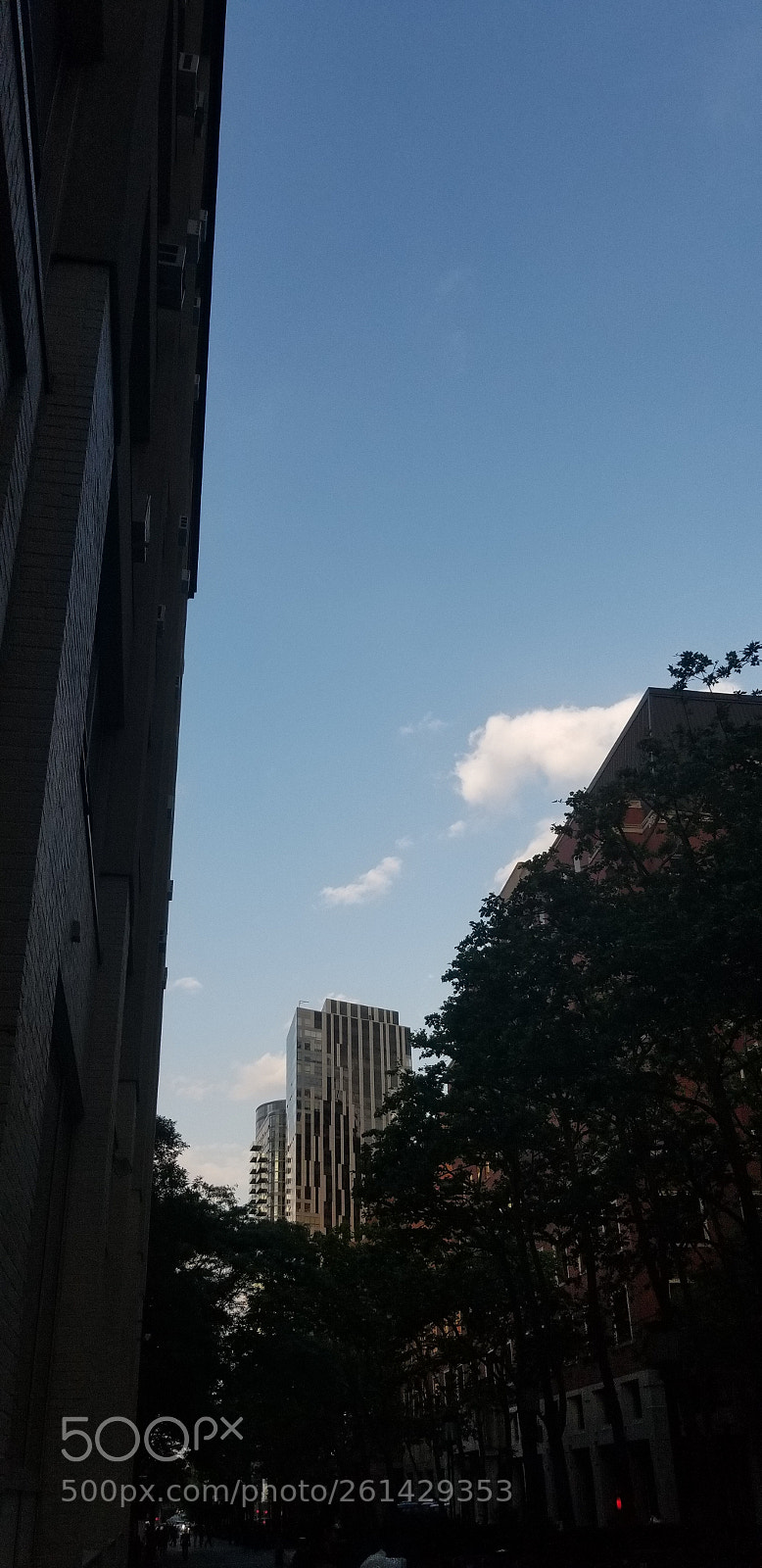 Samsung Galaxy S8+ sample photo. Untitled photography