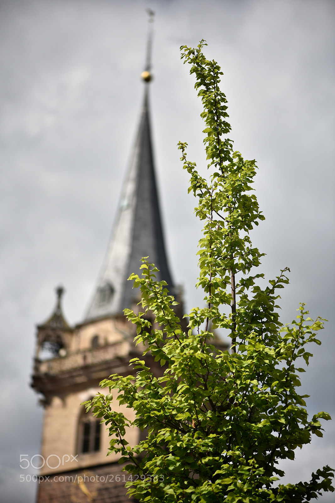 Nikon D750 sample photo. Nein, ich war zuerst photography