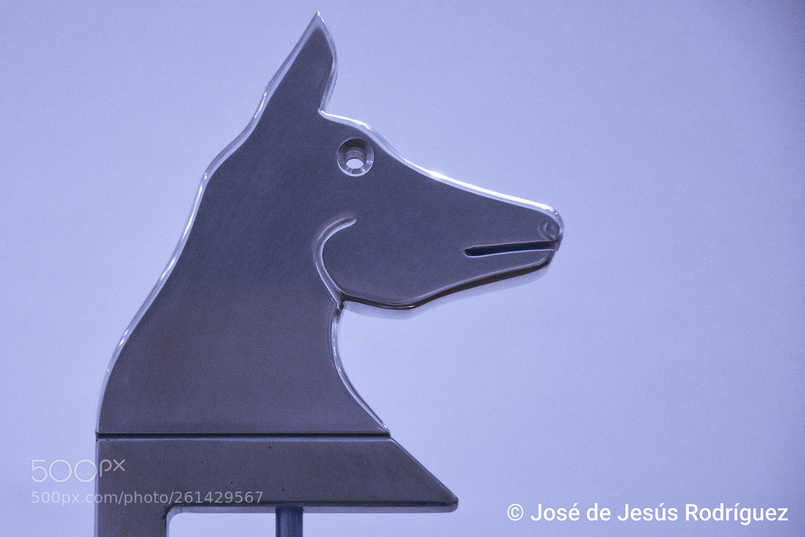 Nikon D7200 sample photo. Dog sculpture photography