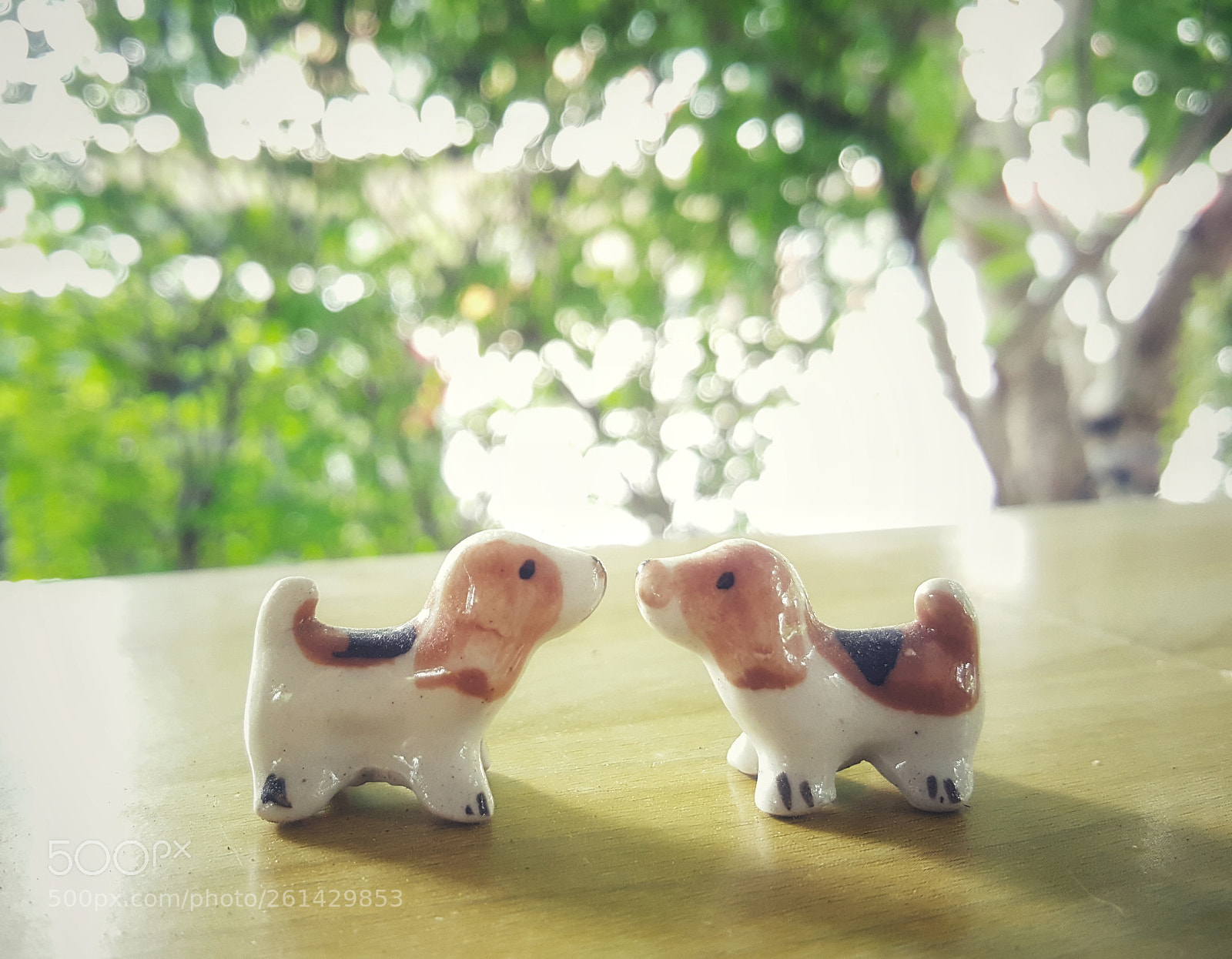 Samsung Galaxy Note5 sample photo. Untitled photography