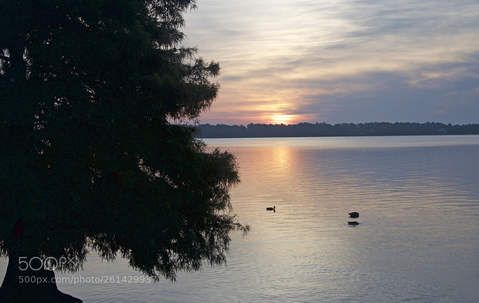Nikon D90 sample photo. Sunrise photography