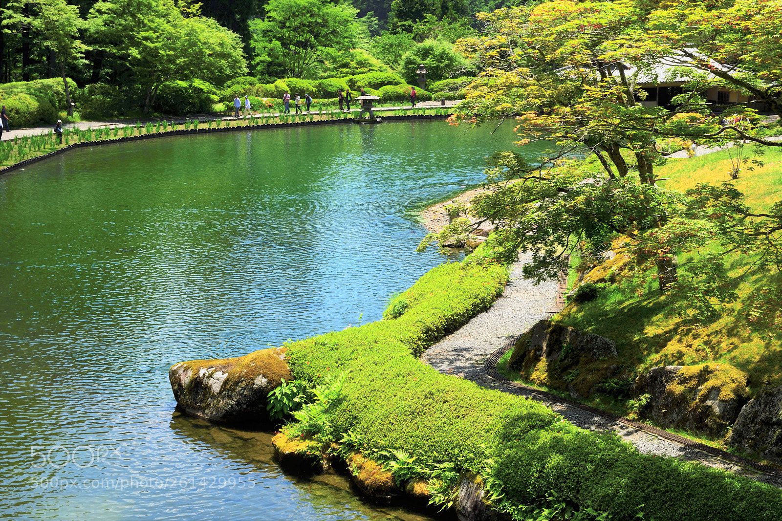Nikon D500 sample photo. 日本庭園 photography