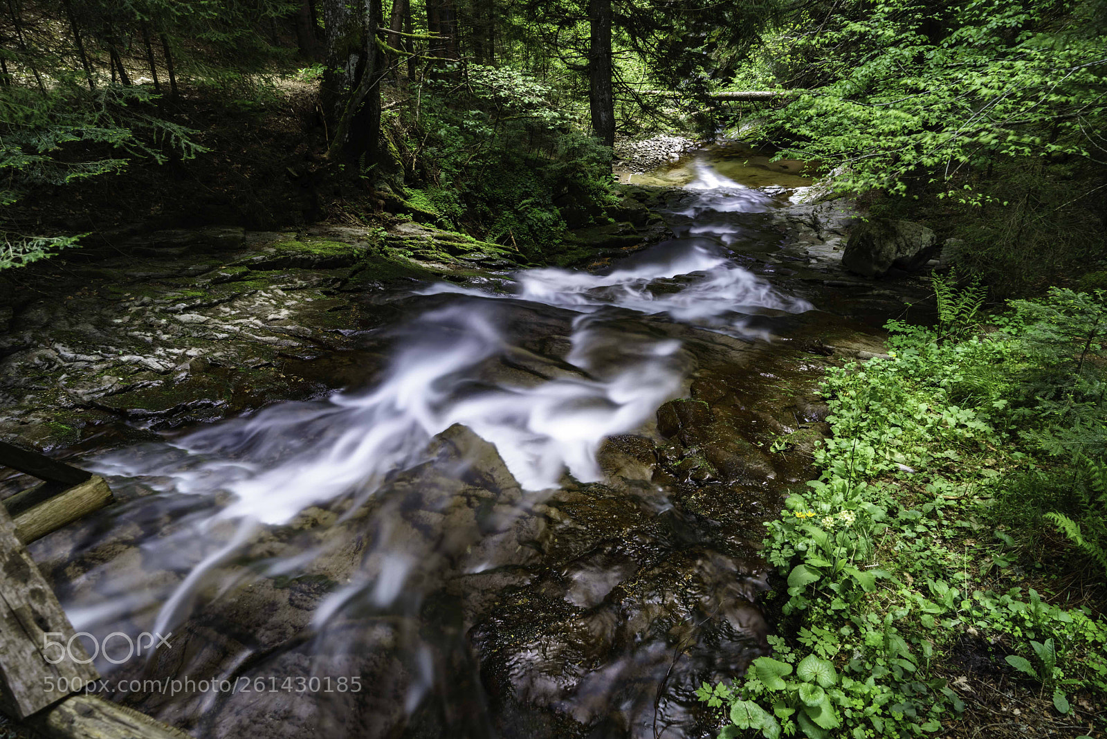 Sony a7R sample photo. Untitled photography