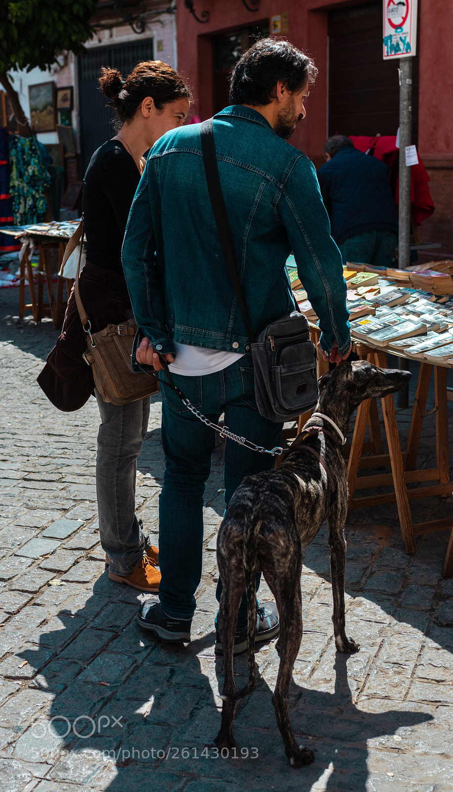 Canon EOS 80D sample photo. Dog (de ) photography