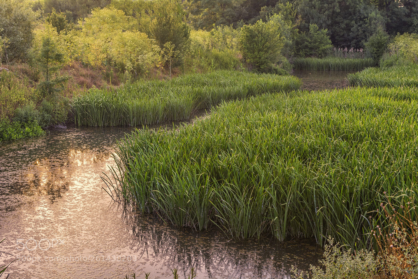 Nikon D5200 sample photo. Sunset landscape in province. photography
