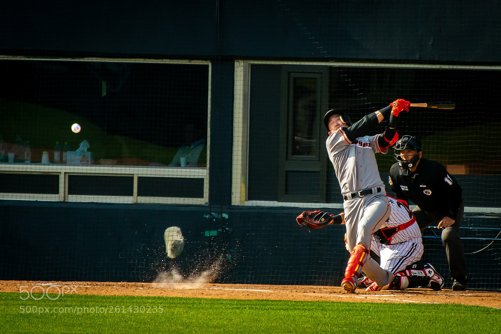 Nikon D7100 sample photo. Sand spike photography