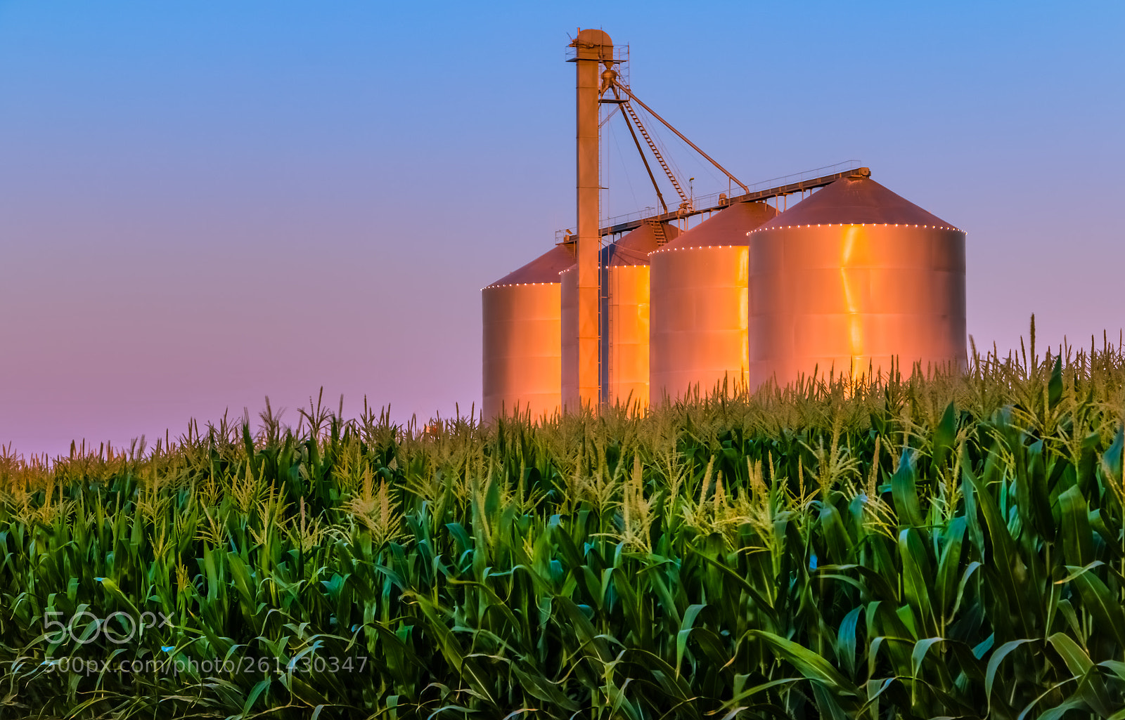 Canon EOS 70D sample photo. Corn field and silos photography