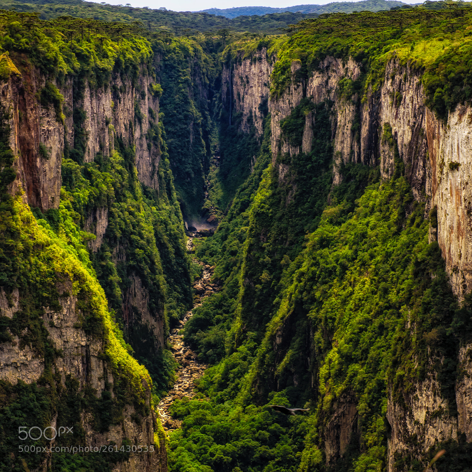 Nikon D750 sample photo. Canion do itaimbezinho photography