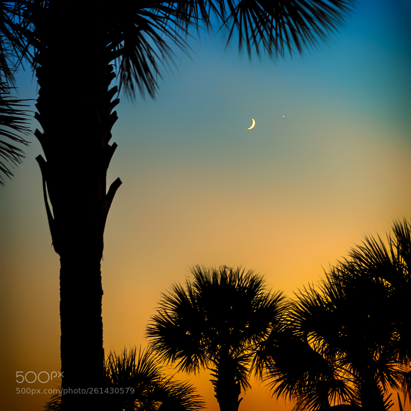 Canon EOS 6D sample photo. Florida moonscape photography