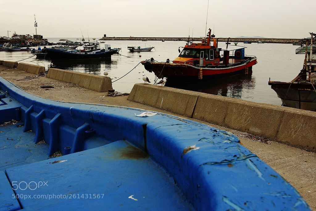 Canon EOS 60D sample photo. 배(ship) photography