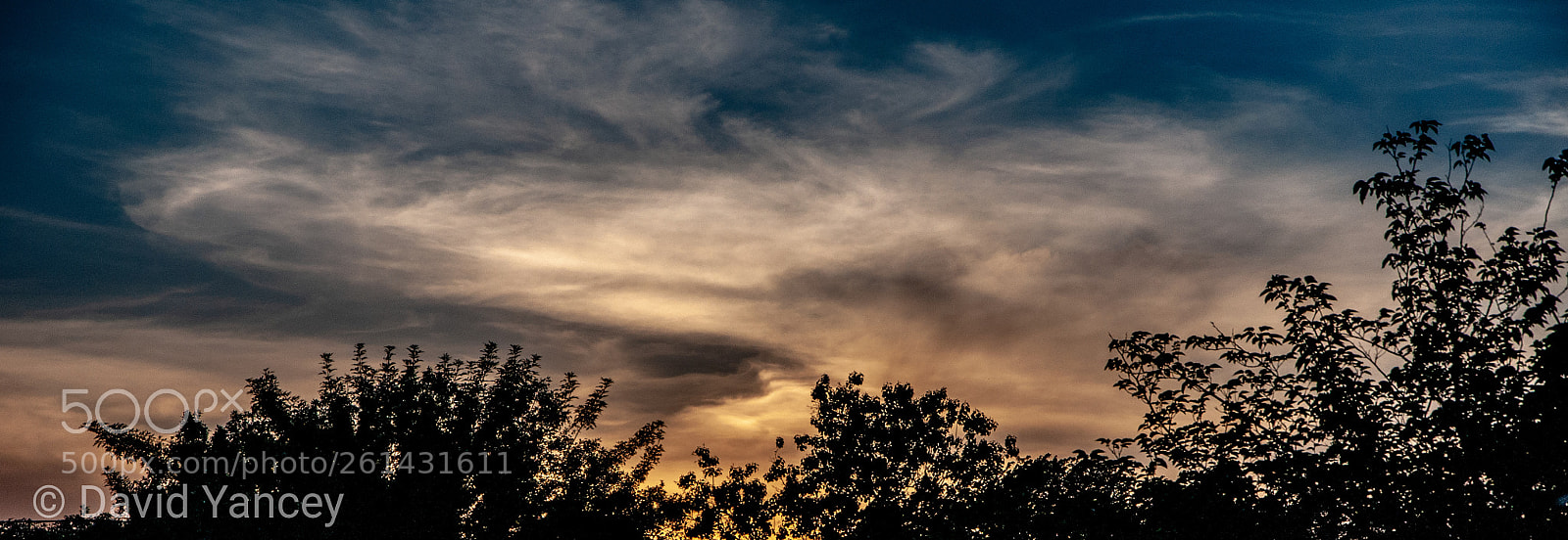 Nikon D90 sample photo. Night light photography
