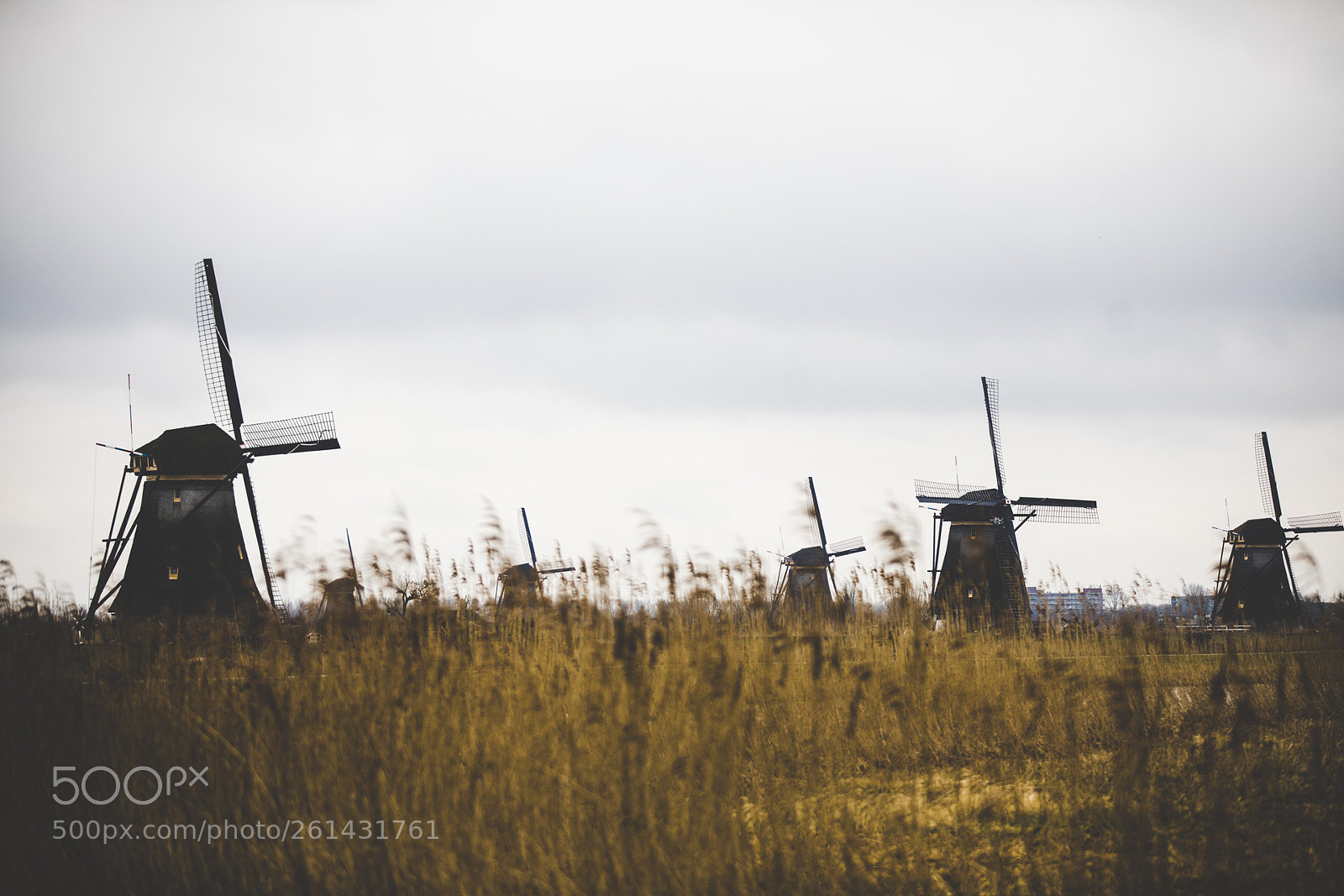 Canon EOS 5D Mark IV sample photo. The windmills of kinderdijk photography