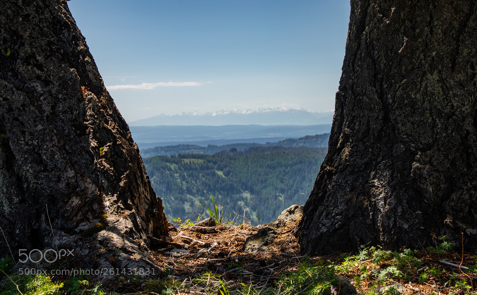 Nikon D7200 sample photo. Onwards to oregon photography
