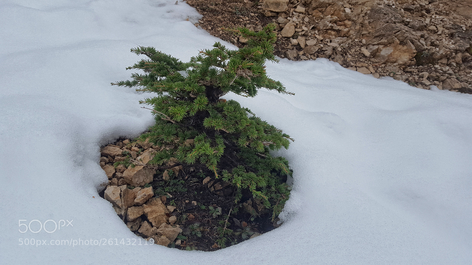 Samsung Galaxy S6 sample photo. 20180201_120621.jpg photography