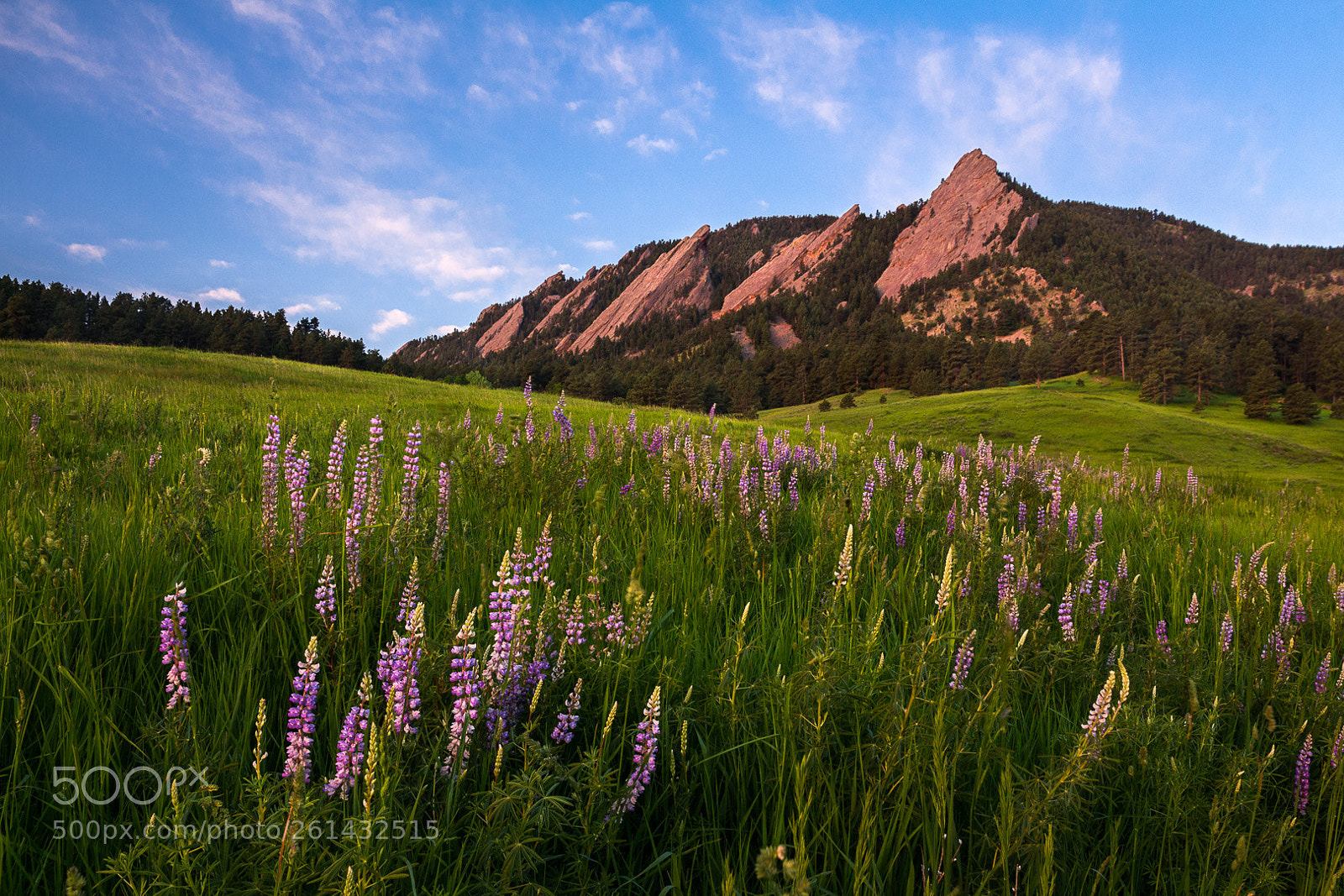 Canon EOS 700D (EOS Rebel T5i / EOS Kiss X7i) sample photo. Spring flatirons photography