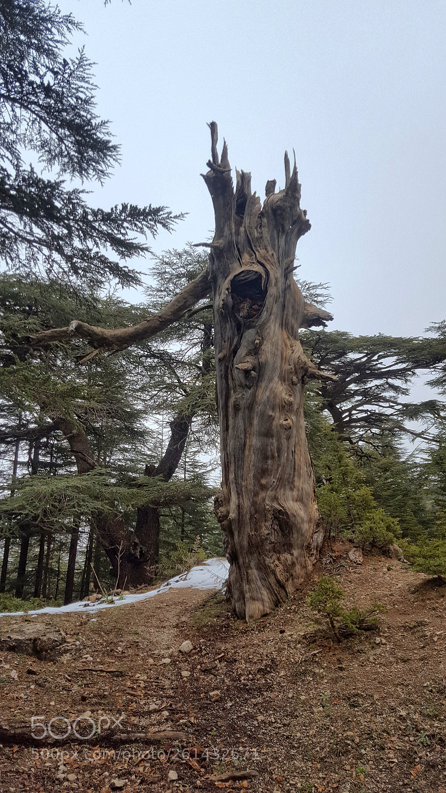 Samsung Galaxy S6 sample photo. 20180201_121359.jpg photography