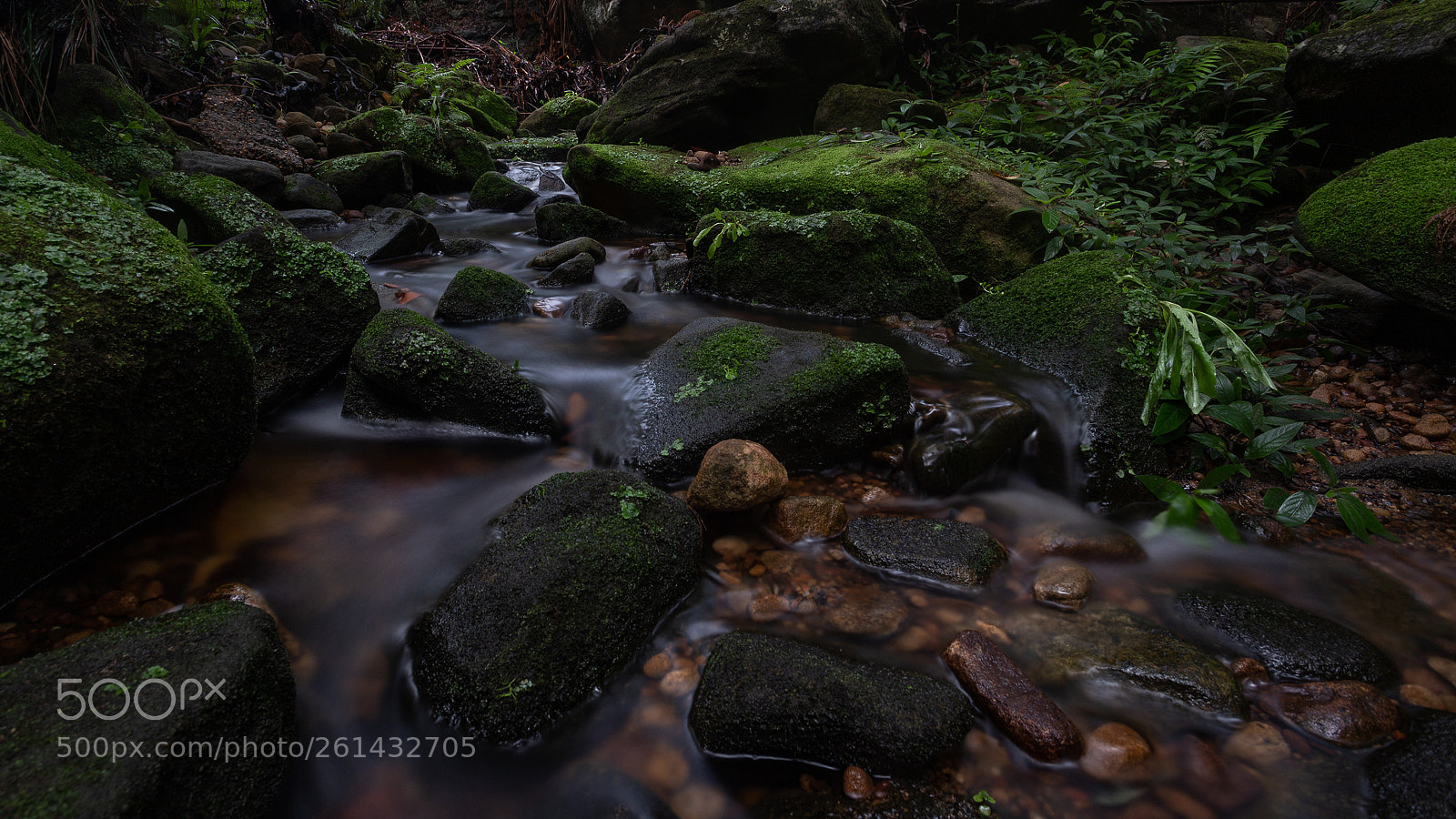 Canon EOS 6D sample photo. Cattai creek photography