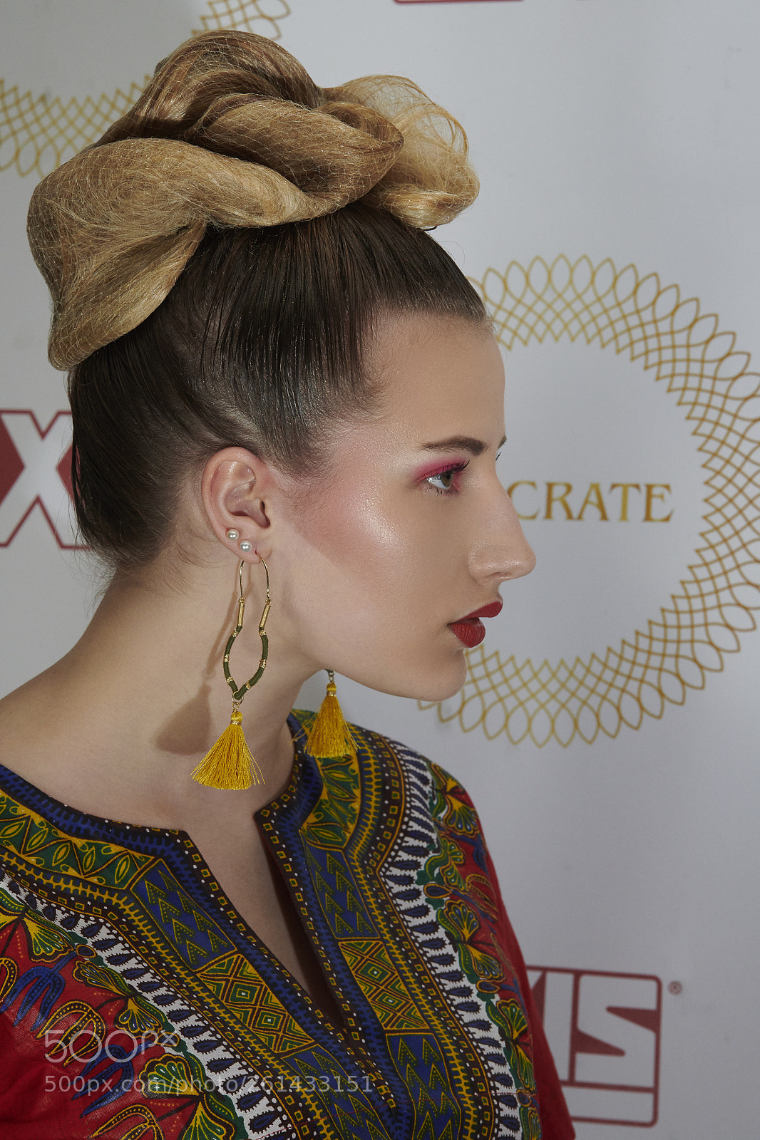 Nikon D850 sample photo. Fashion art and more photography