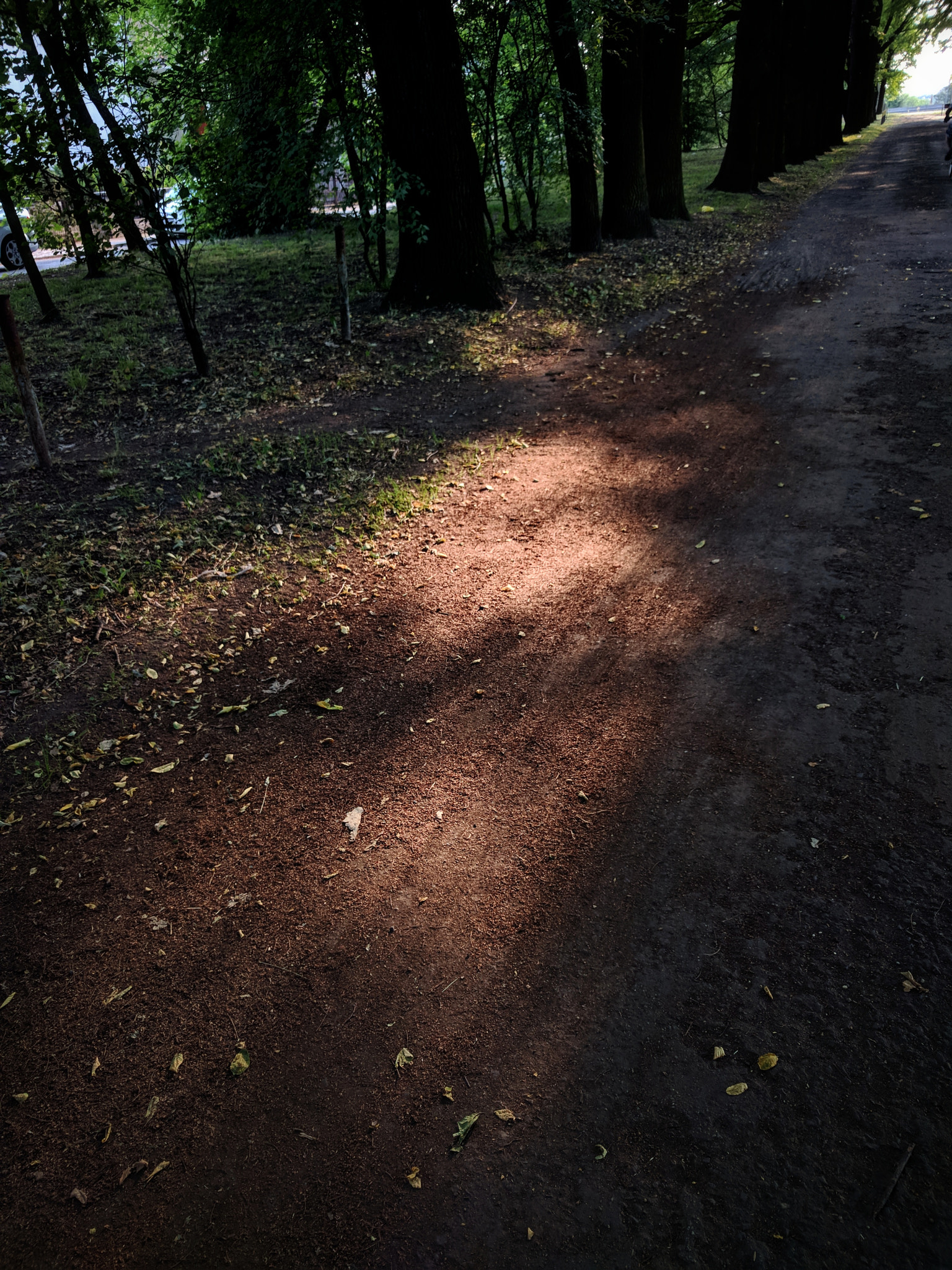 Google Nexus 6P sample photo