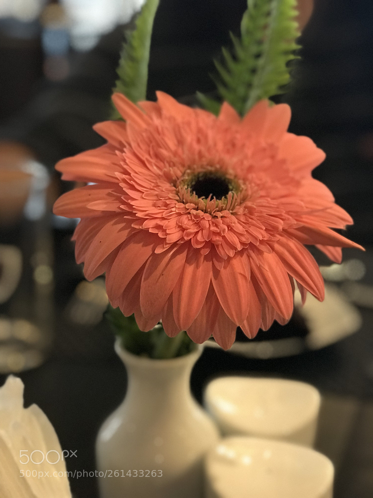 Apple iPhone 7 Plus sample photo. Untitled photography