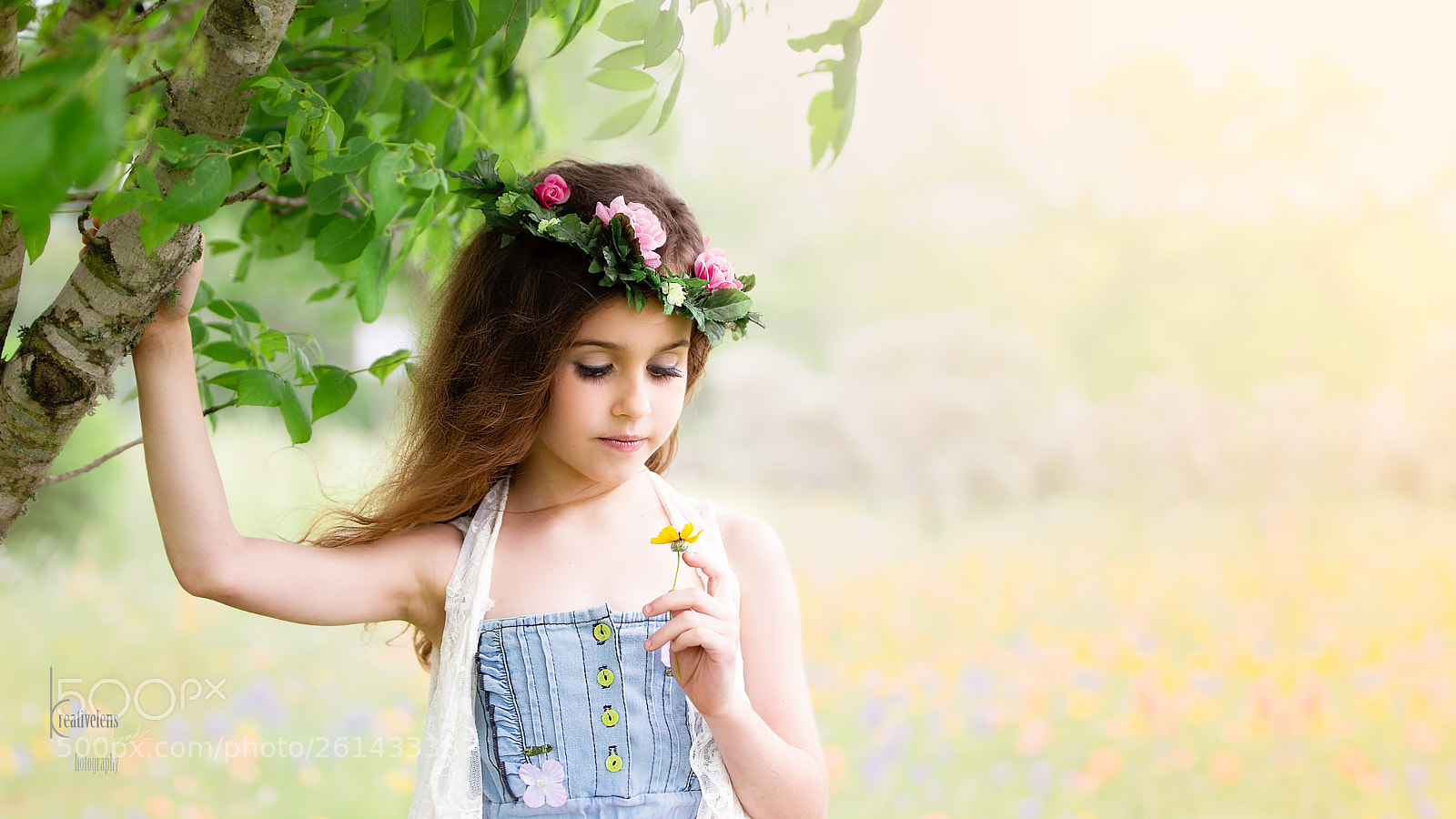 Canon EOS 60D sample photo. Let your dreams blossom. photography