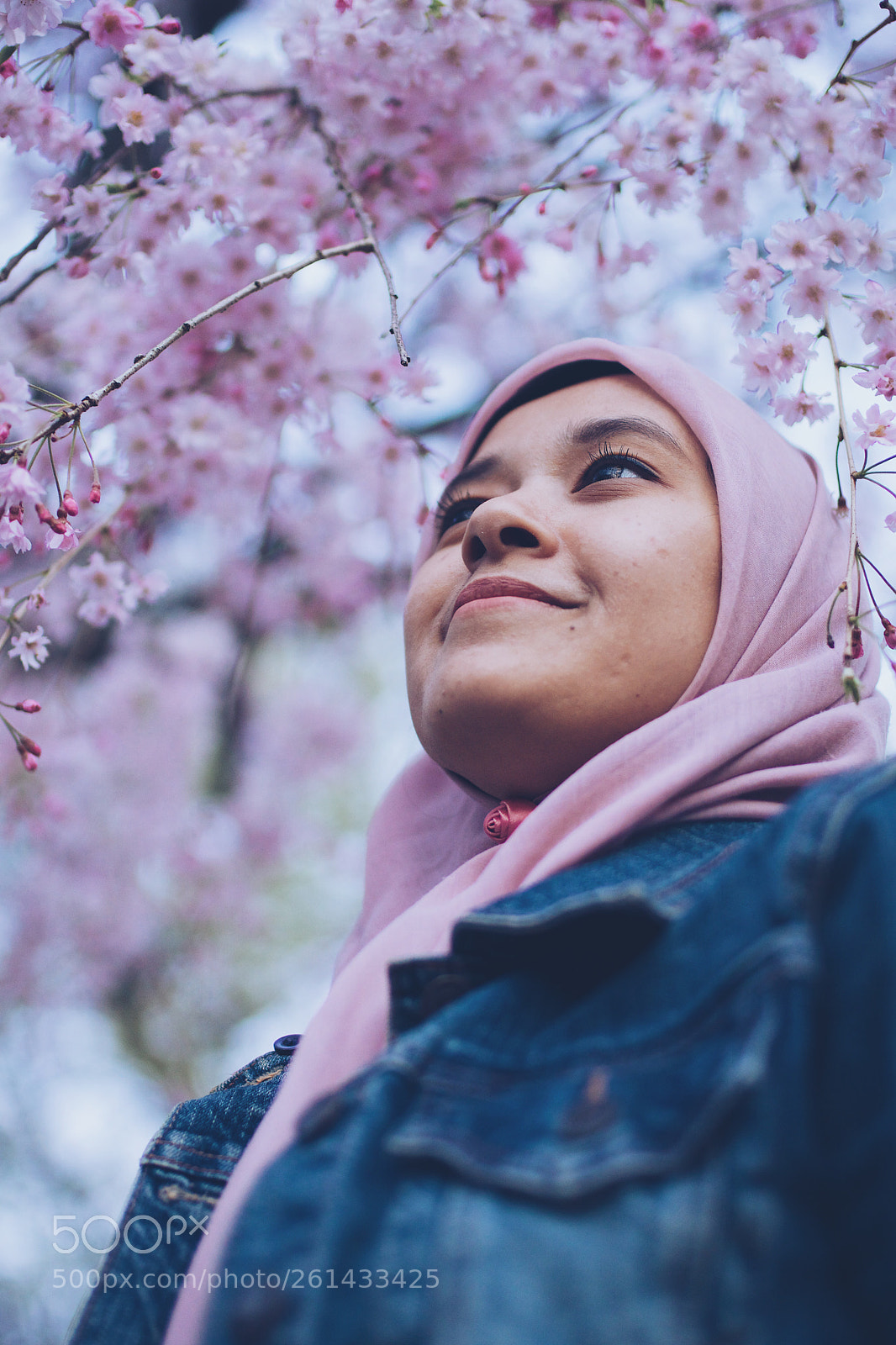 Sony a6500 sample photo. Cherry blossom photography