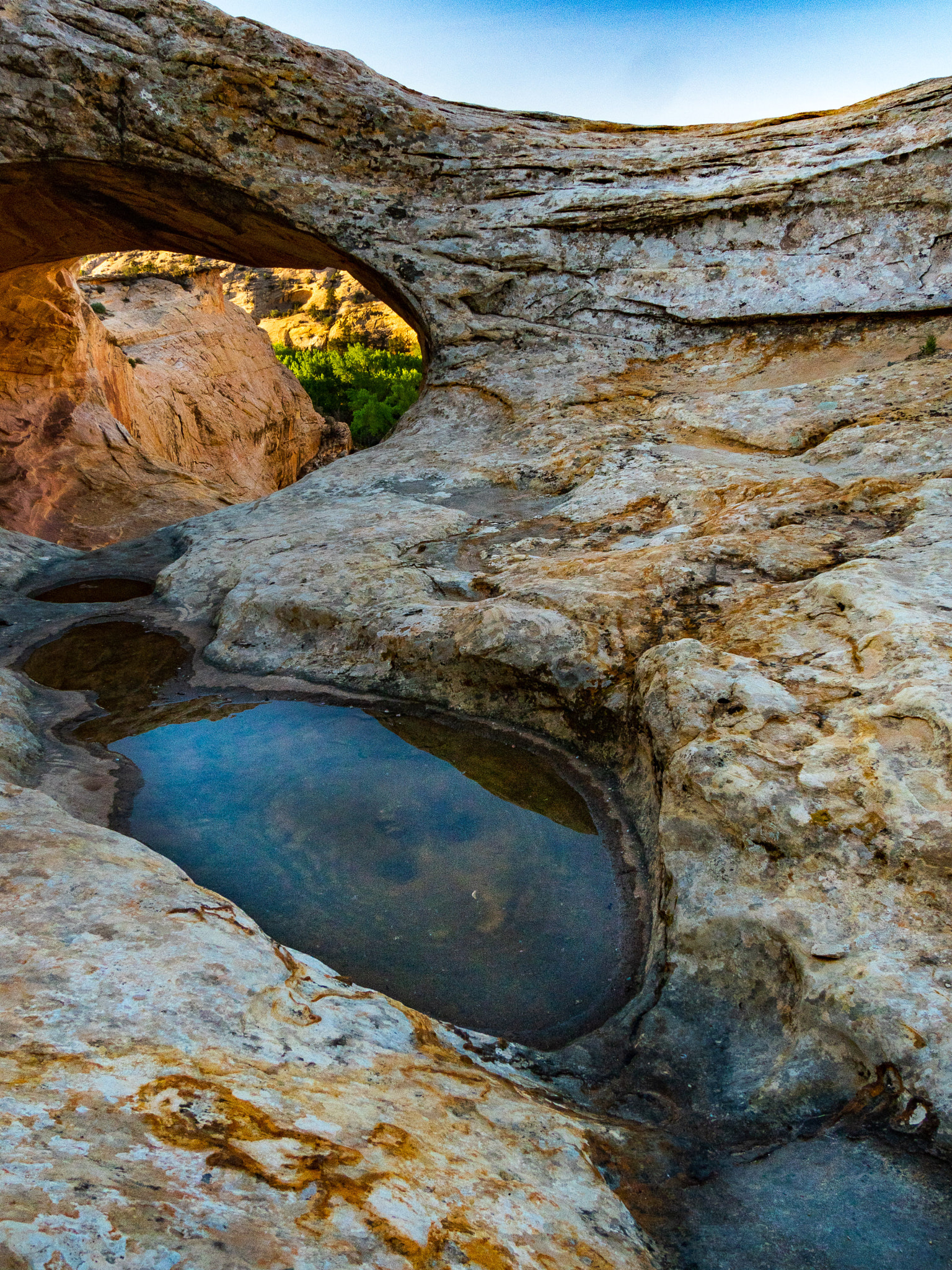 Olympus PEN E-PL7 sample photo. Hidden oasis photography