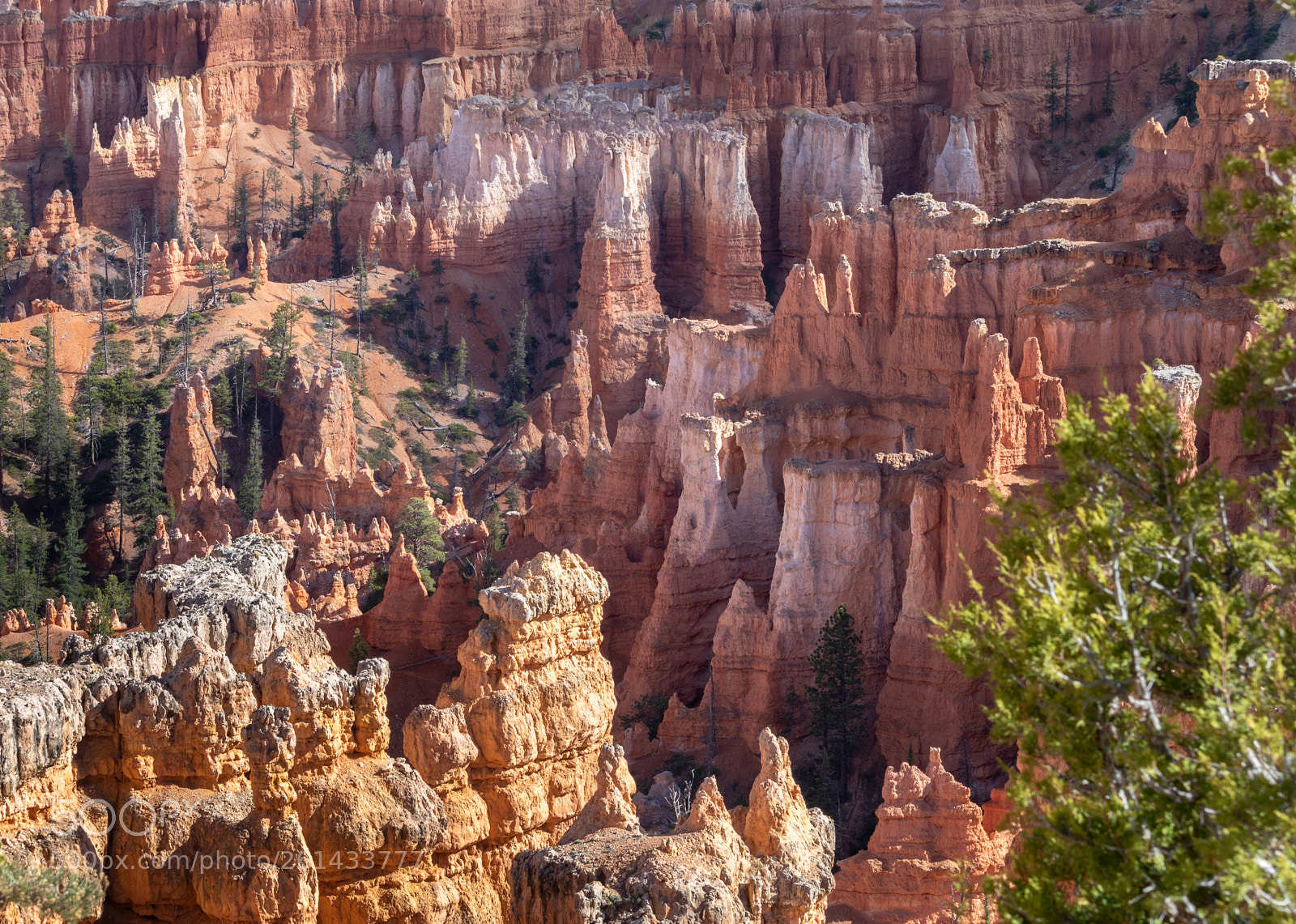 Canon EOS 80D sample photo. Hoodoo city photography