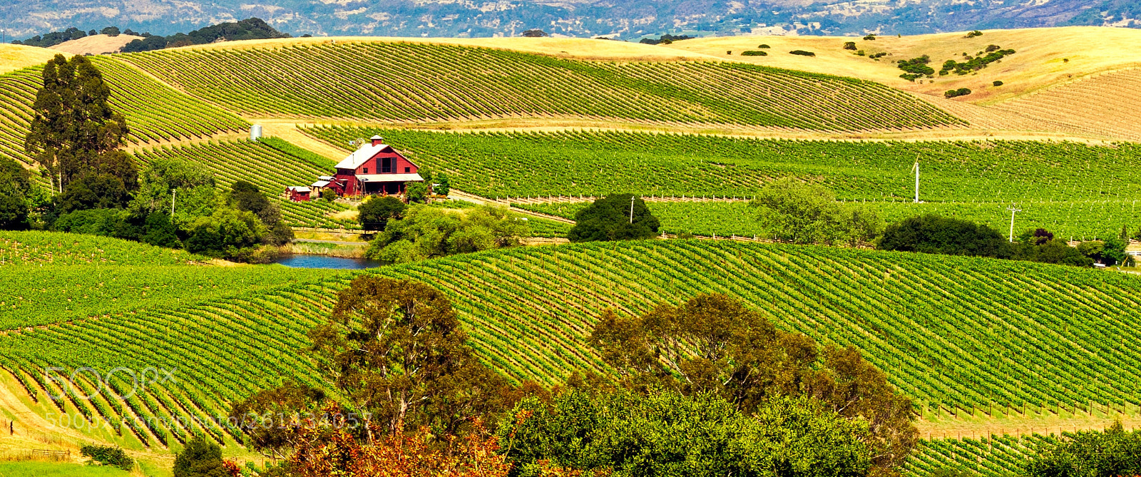 Sony a7 II sample photo. The wine country of photography