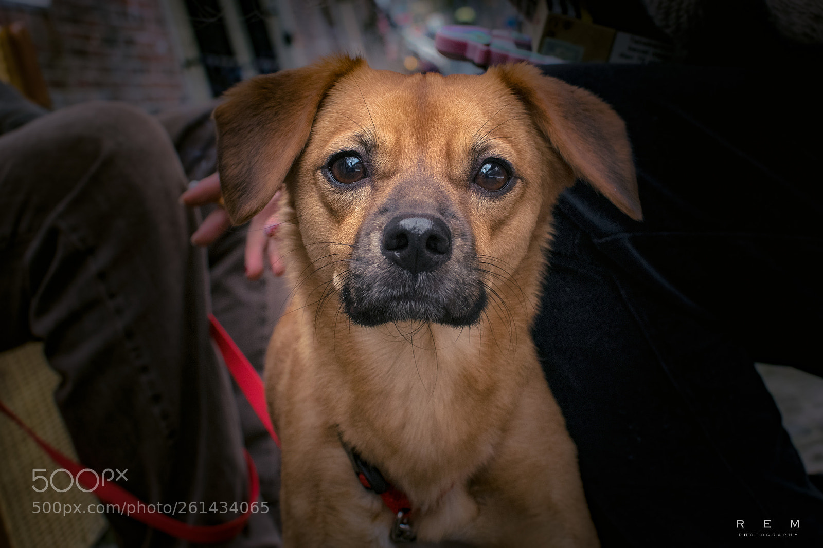 Nikon D5300 sample photo. Maya photography