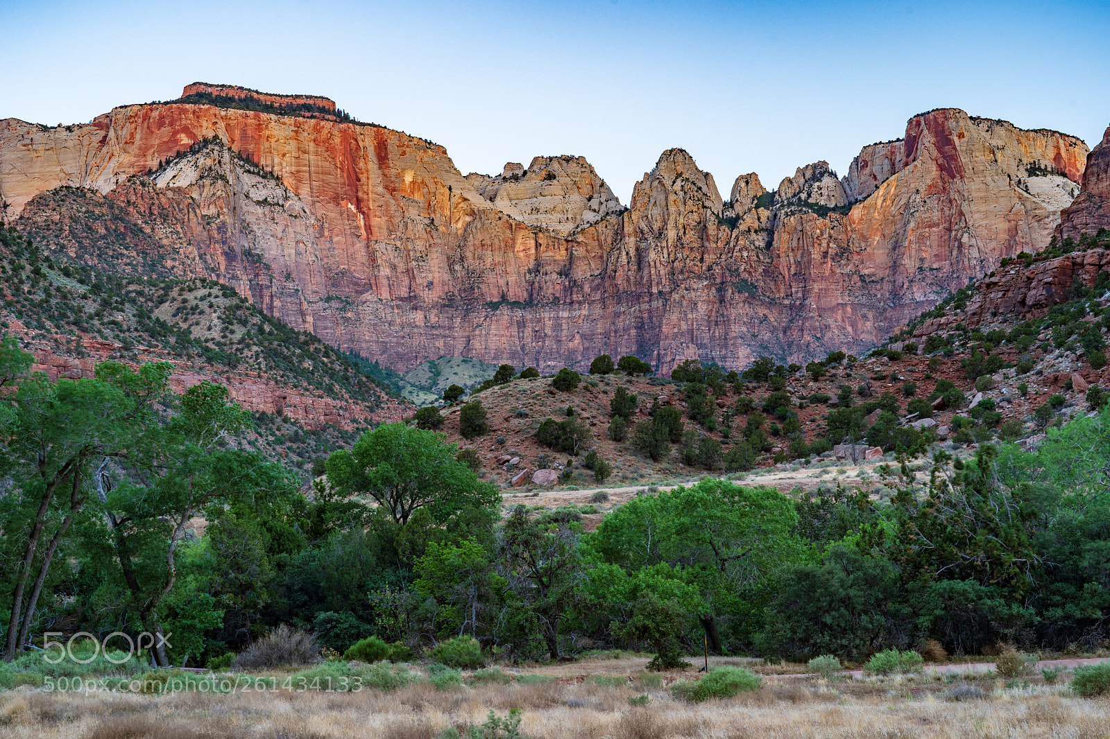 Sony a7 III sample photo. Zion national park photography