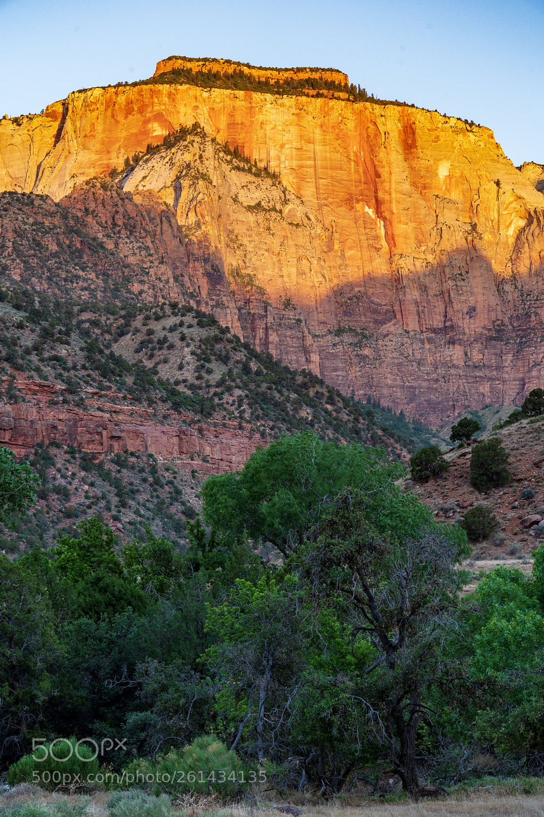 Sony a7 III sample photo. Zion national park photography