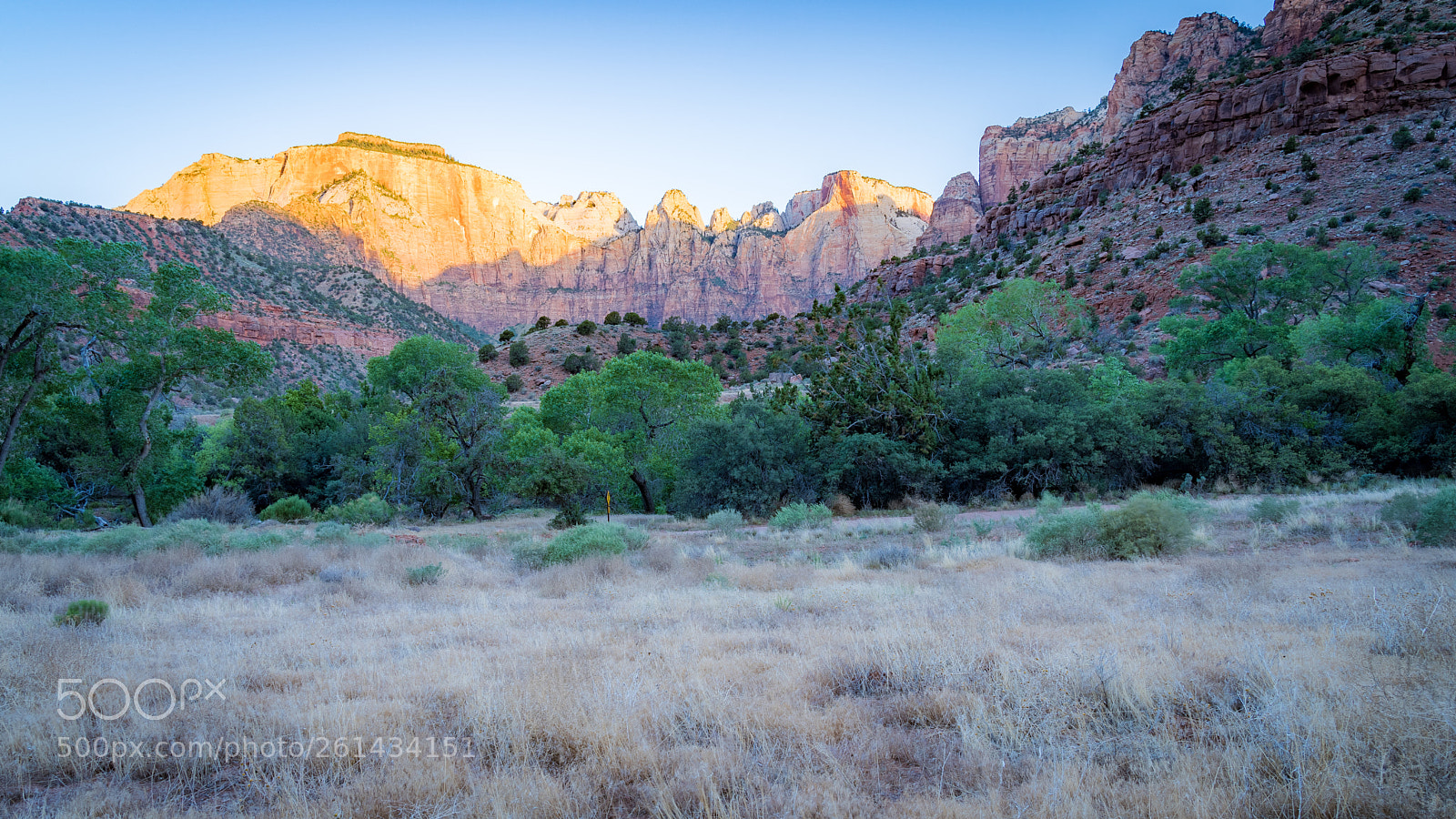 Sony a7 III sample photo. Zion national park photography