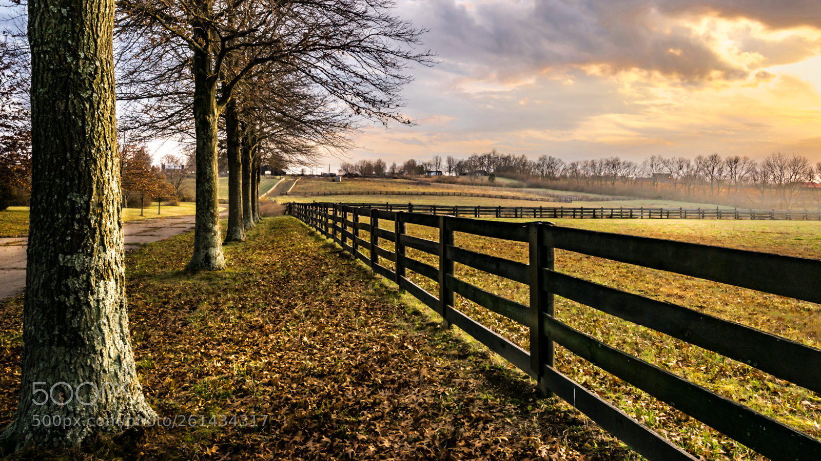 Nikon D5300 sample photo. Mild kentucky winter photography
