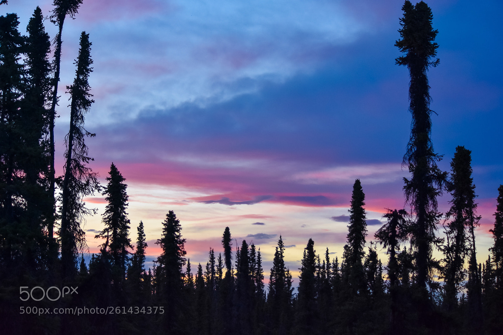 Nikon D7200 sample photo. Painted night sky photography