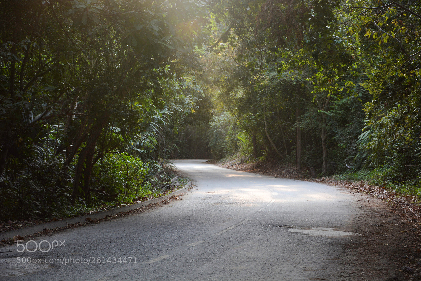 Nikon D7100 sample photo. Tayrona photography