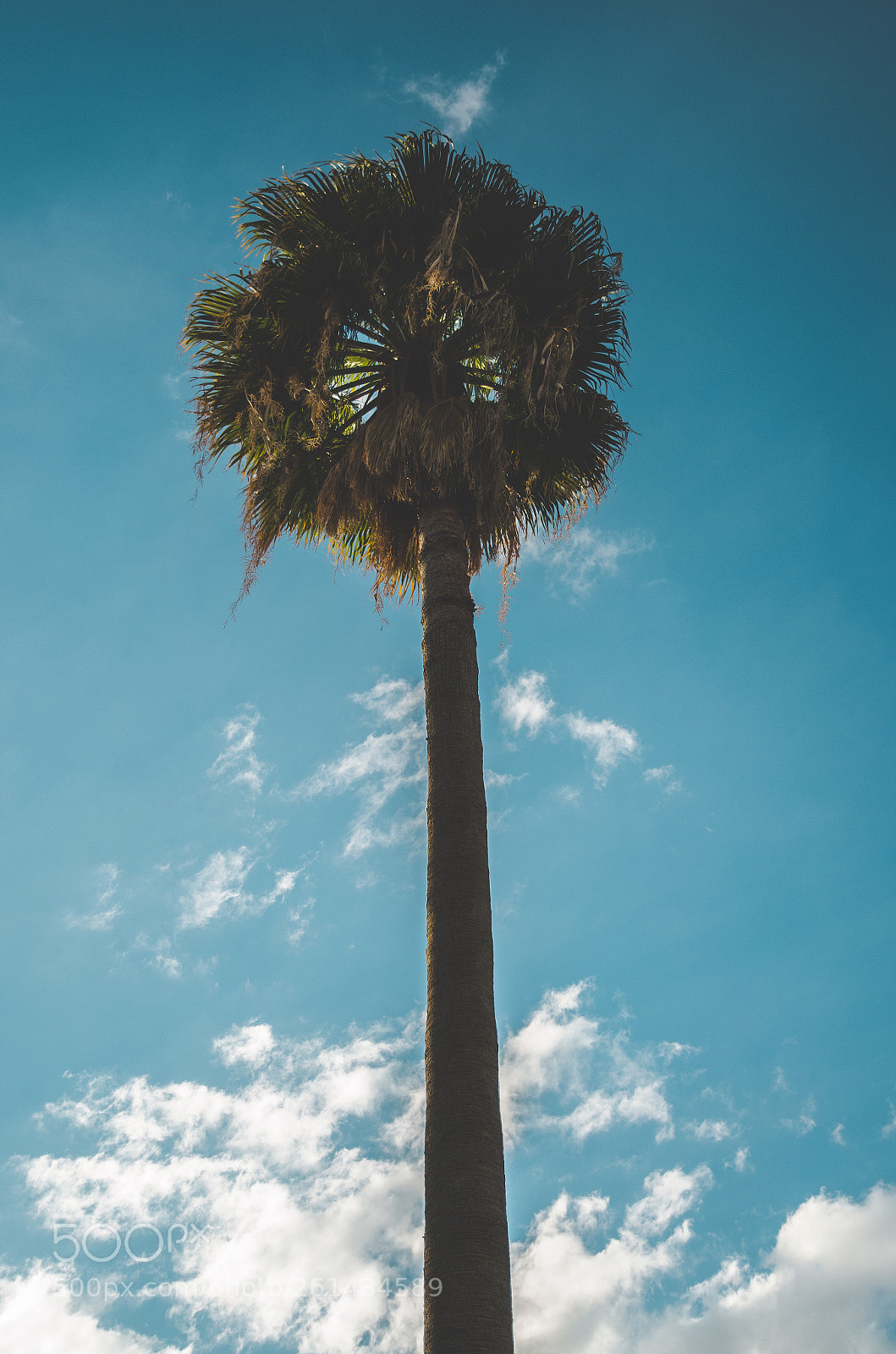 Nikon D5100 sample photo. Sumer vibe photography