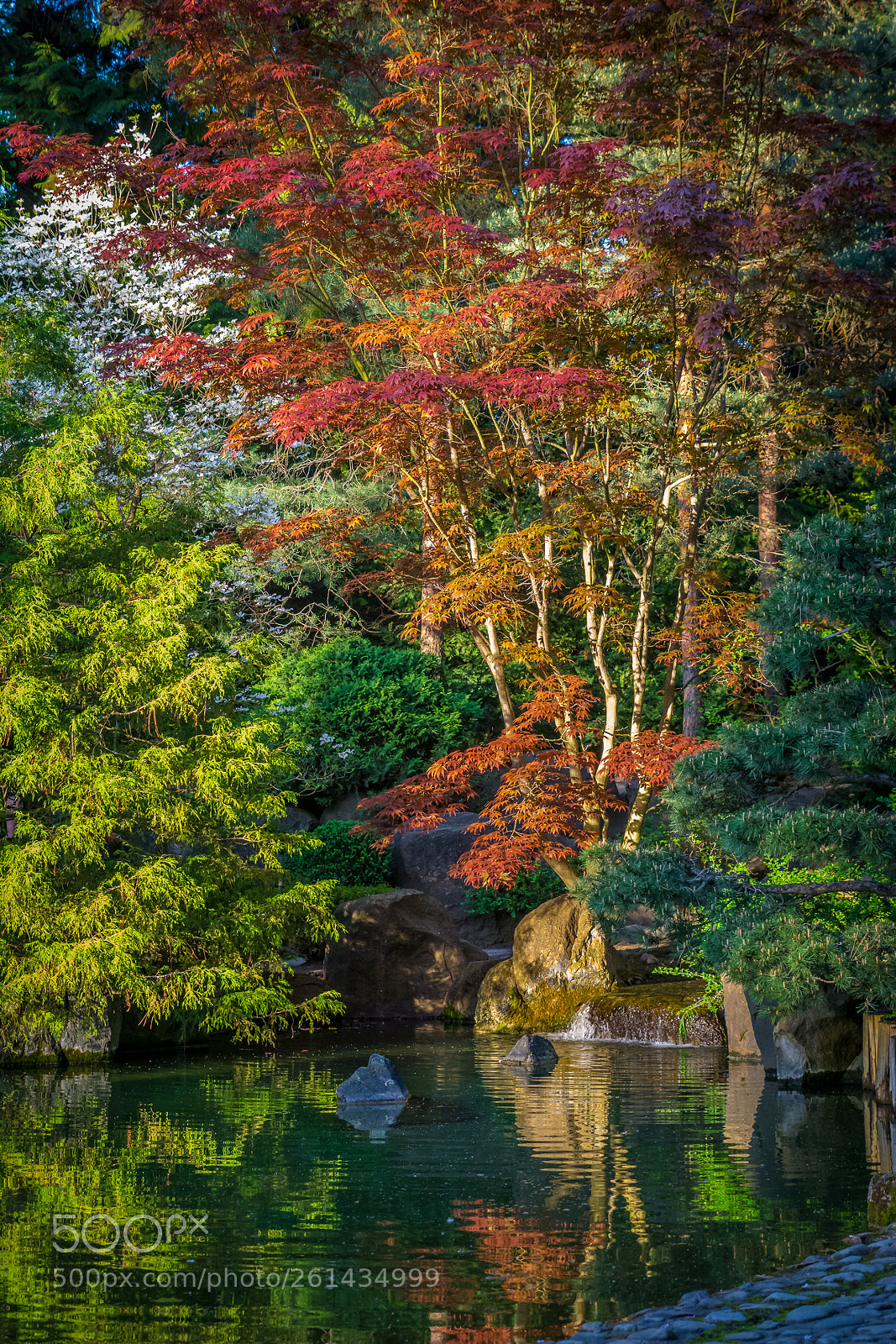 Nikon D7100 sample photo. Japanese garden reflection photography
