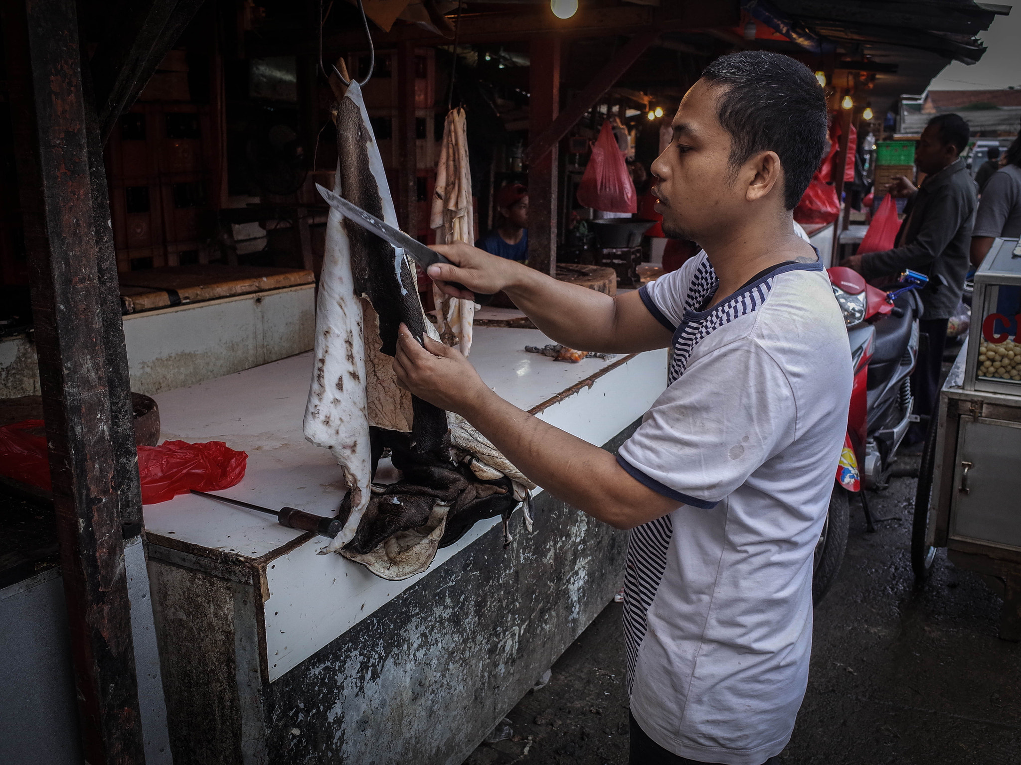Ricoh GR sample photo. Goat skin photography