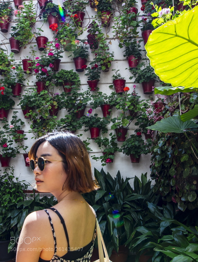 Canon EOS 80D sample photo. Cordoba patio (de ) photography
