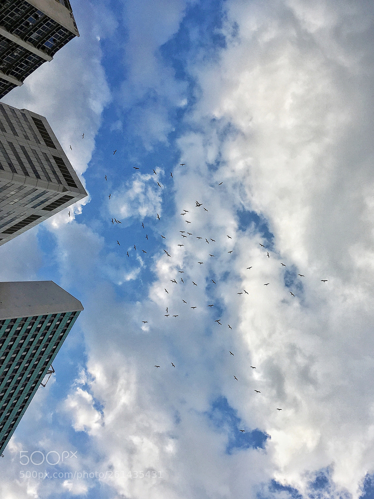 Apple iPhone SE sample photo. Untitled photography