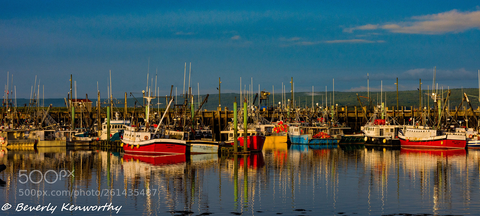Nikon D7200 sample photo. Digby evening photography