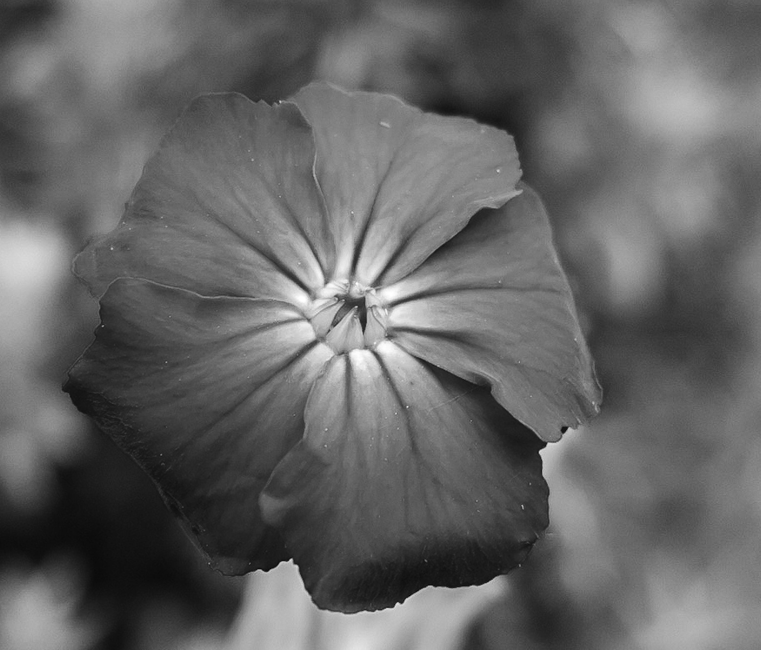 Canon PowerShot G1 X Mark II sample photo. Midnight  photography