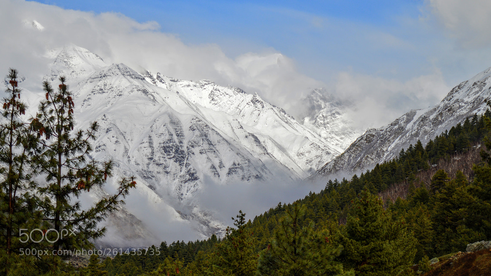 Nikon D3200 sample photo. Untitled photography