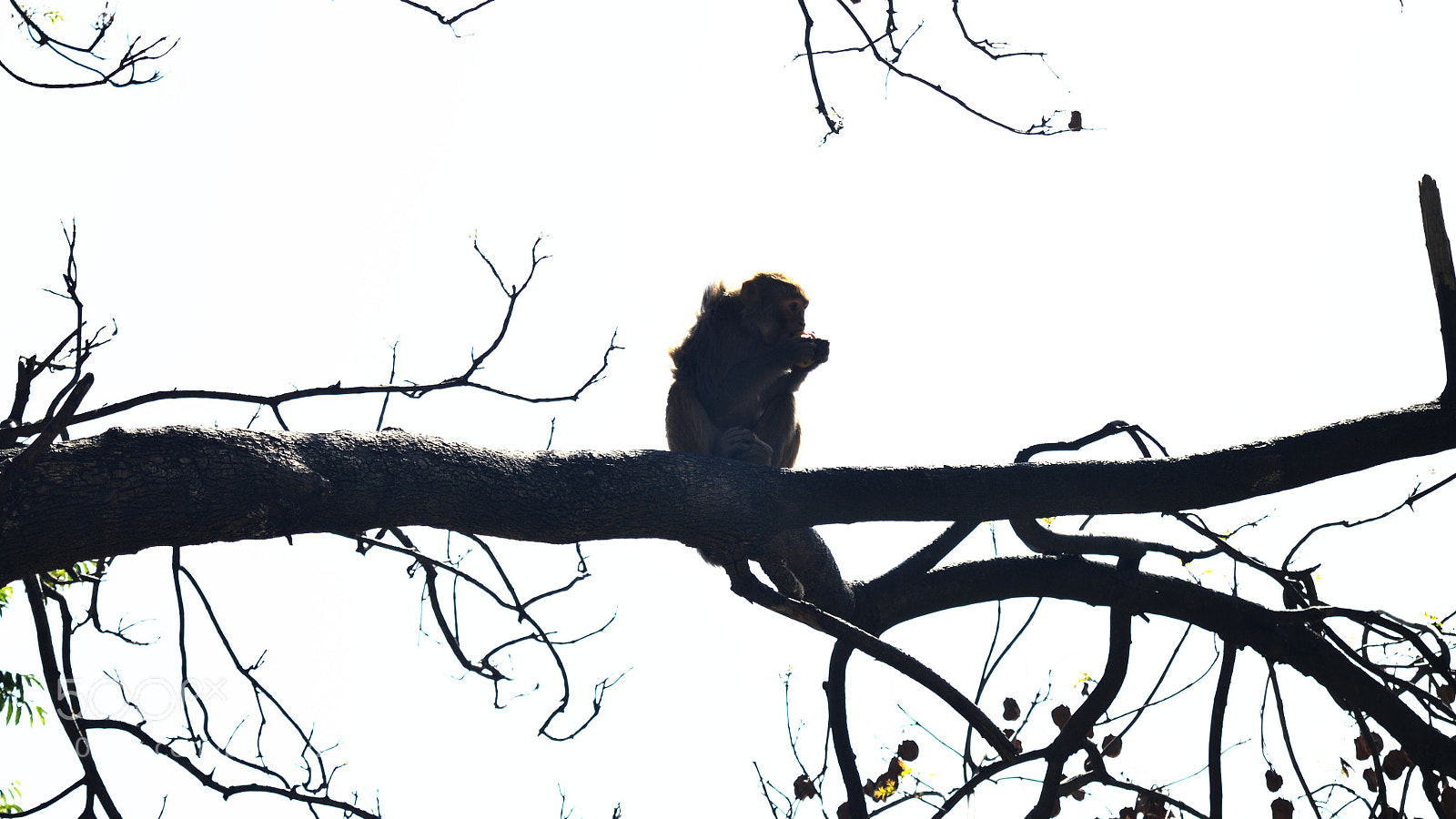 Nikon D3200 sample photo. Untitled photography