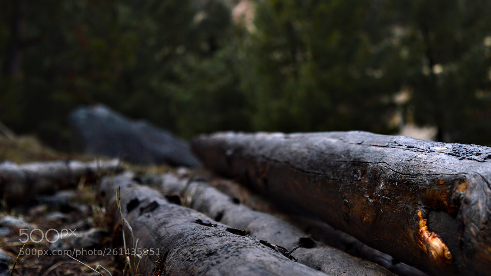 Nikon D3200 sample photo. Untitled photography